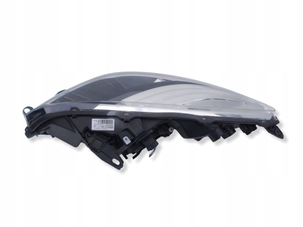 Frontscheinwerfer Renault Grand III Scenic 89902926 260600023R Ein Satz SCH2176672366jr