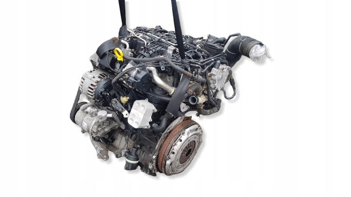 Motor Audi Seat Skoda VW I CAY 1.6 TDI 74TKm Diesel Engine Komplett MOT9788811909un