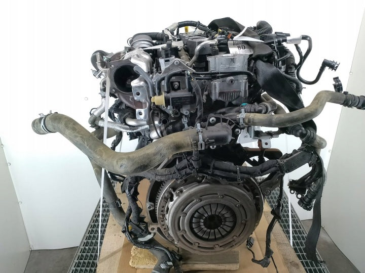 Motor Ford Focus SFJC 1.0 2021 Benzin Engine Unkomplett MOT5242745519ho