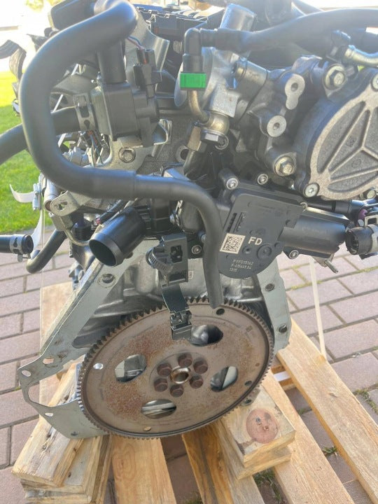 Motor Mazda I PE 2.0 86TKm 2019 Benzin Engine Unkomplett MOT2444635577xg