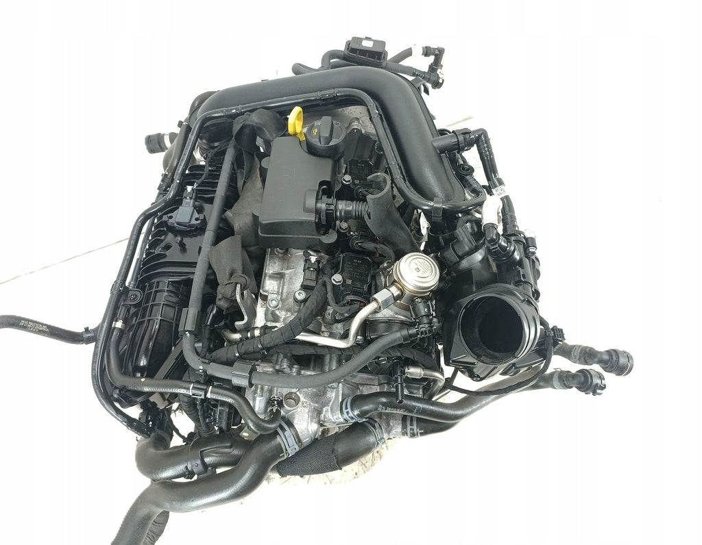 Motor Audi Seat Skoda T-Cross DLAA 1.0 TSI 110PS 81kW 89TKm 2021 Benzin Komplett