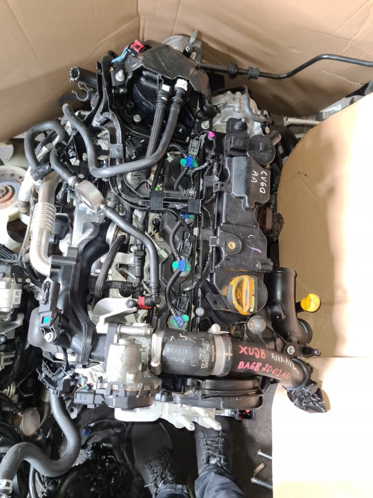 Motor Ford Fiesta I XUJB 1.5 TDCI 20TKm Diesel Engine Komplett MOT2683106563aa