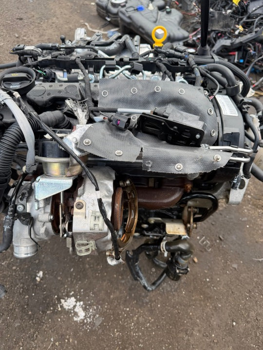 Motor Audi Seat VW I DFF DFFA 2.0 TDI 150PS 54TKm Diesel Engine Unkomplett MOT1242522336pl