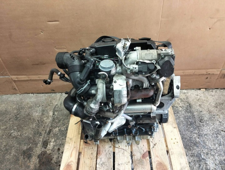 Motor Audi Seat Skoda VW I BLS 1.9 TDI 2007 Diesel Engine Komplett MOT8660703488dv