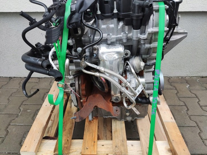 Motor Ford Puma B7JC 1.0 13TKm 2019 Benzin Engine Komplett MOT6769882439fk