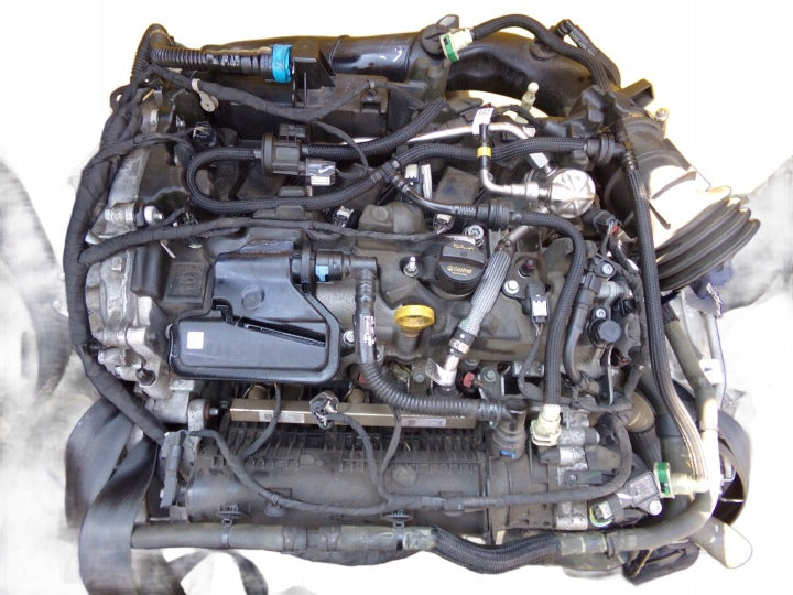 Motor Ford Kuga I Y1DA 1.5 182PS 116TKm 2020 Benzin Engine Unkomplett MOT3523447557en