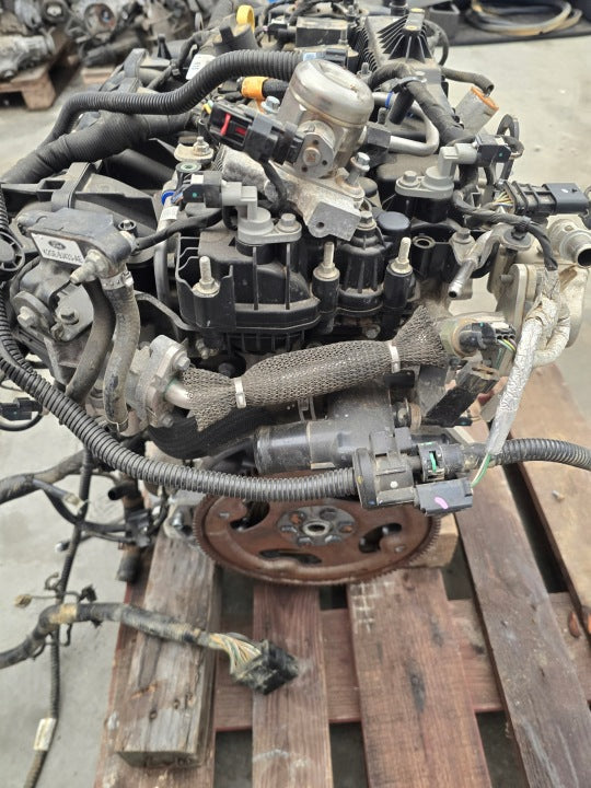 Motor Ford Fiesta II Fbd K2GE-6007-AA 2.0 97PS 71kW 144TKm Benzin Unkomplett MOT1513956903qo