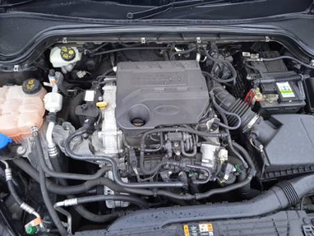 Motor Ford Focus 158TKm 2019 Engine Komplett MOT4911802805qg