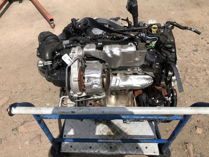 Motor Ford Fiesta II Fbd BJDA 2.0 97PS 71kW 15TKm 2023 Diesel Engine Komplett MOT4376114917pj