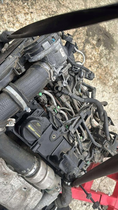 Motor Ford Fiesta I AV2Q-6007-AA 1.4 97PS 71kW 143TKm 2008 Diesel Komplett MOT9458294238od