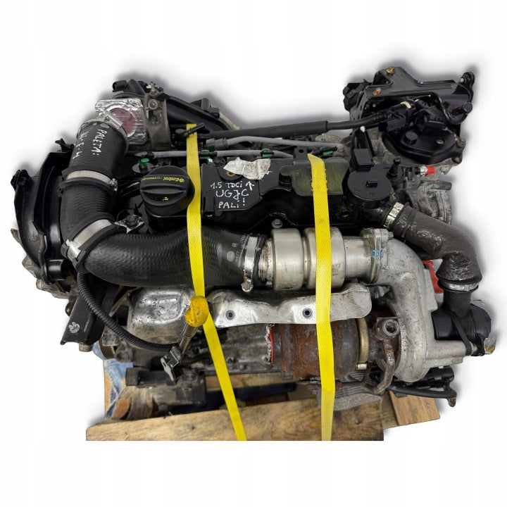 Motor Ford Fiesta I UGJC 1.5 TDCI 75PS 55kW 159TKm 2012 Diesel Engine Komplett MOT7739490346kz