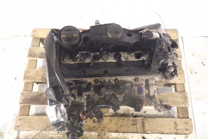 Motor VW Passat GBAB 2.0 TDI 140PS 66kW 2010 Diesel Engine Unkomplett MOT1234197550ef
