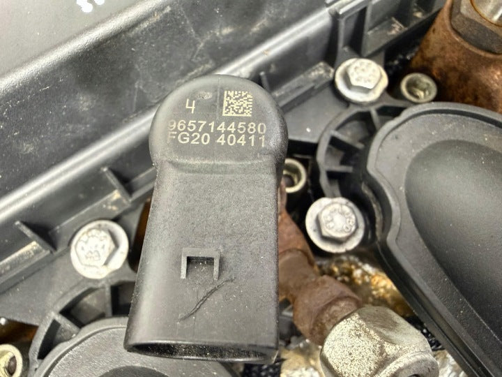 Motor Peugeot I RHR 10DYVD 2.0 HDI 136PS 100kW 180TKm 2001 Diesel Komplett MOT7164040089da