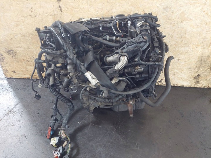 Motor Ford Focus T1DA 1.6 TDCI 115PS 85kW 2012 Diesel Engine Komplett MOT1741618044wx