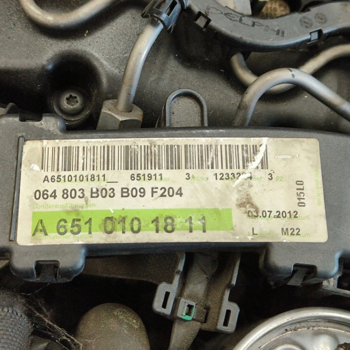 Motor Mercedes-Benz W204 OM651911 2.2 CDI 167TKm Diesel Engine Komplett MOT9466031665ta