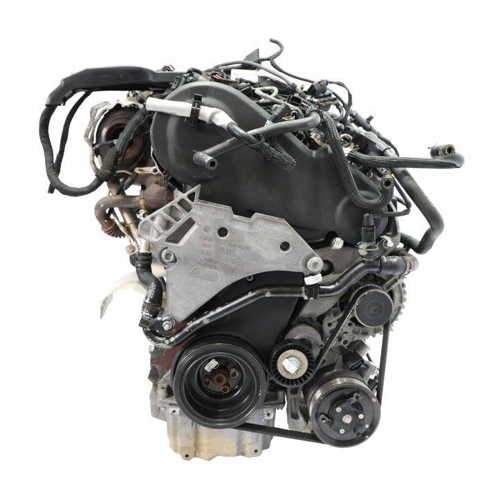 Motor VW Caddy III CAYE 1.6 TDI 75PS 55kW 159TKm Diesel Engine Unkomplett MOT2262860554rk