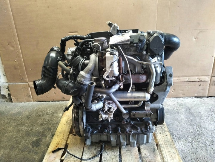 Motor Audi Seat Skoda VW I BLS 1.9 TDI 2006 Diesel Engine Komplett MOT2451333745gc