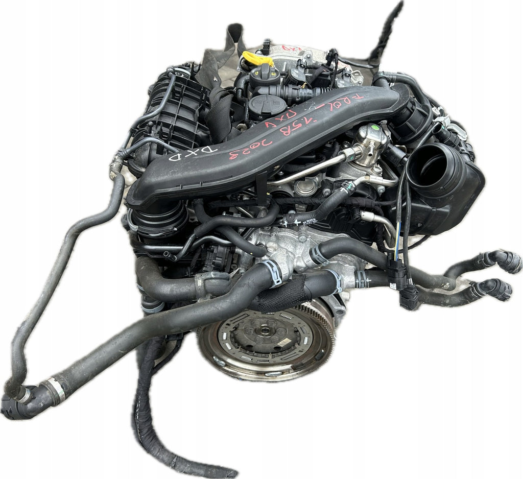 Motor VW Golf VIII I DXD 1.5 TSI 90PS 66kW 20TKm Benzin Engine Komplett