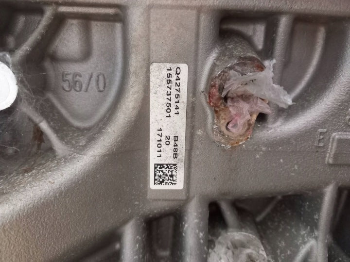 Motor BMW 3 F30 B48B20A 2.0 100TKm Benzin Engine Unkomplett MOT6038712800hs