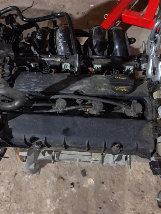 Motor Ford B2KA 1.2 70PS 51kW 57TKm Benzin Engine Komplett MOT3107521647el