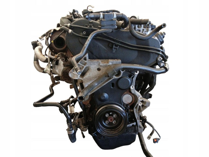 Motor Audi Q3 CUV 2.0 TDI 150PS 110kW 146TKm 2014 Diesel Engine Komplett MOT2380416476ks