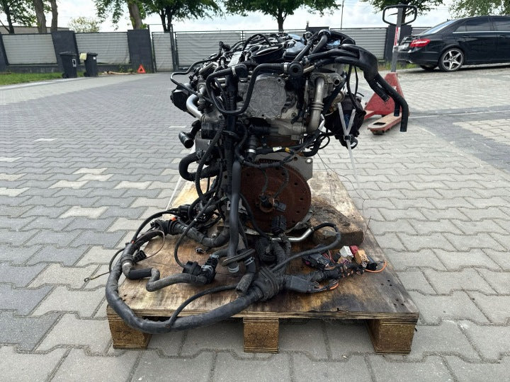 Motor Audi A4 DEU 2.0 TDI 110kW Diesel Engine Komplett MOT5579204151qo
