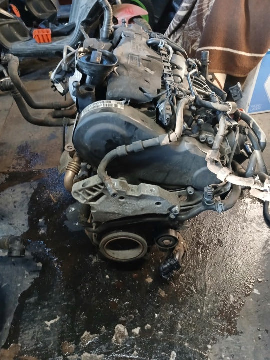 Motor Audi Seat Skoda VW I CBD 2.0 TDI 90PS 66kW Diesel Engine Unkomplett MOT3527481762aa