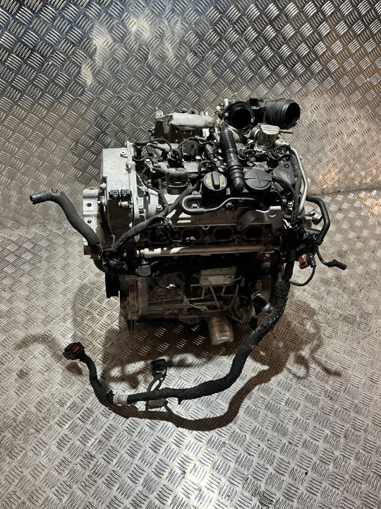 Motor VW Golf VIII I DXD DXDB XK1 1.5 TSI 116PS 85kW 15TKm 2024 Benzin Komplett MOT9964715259ir