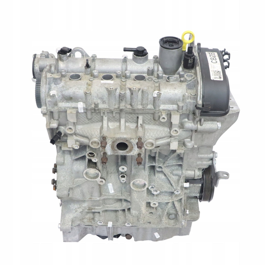 Motor Audi Seat VW Ibiza Polo 6r CBZB 1.2 TSI 105PS 77kW 94TKm Benzin Unkomplett