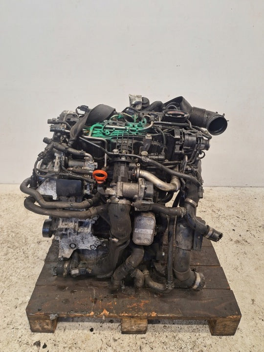 Motor Audi VW A3 I CAY 1.6 TDI 105PS 166TKm 2022 Diesel Engine Komplett MOT2118253064ej
