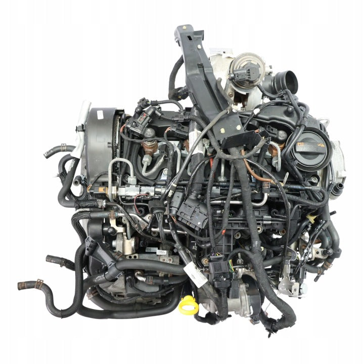 Motor VW Caddy III CAYE 1.6 TDI 75PS 55kW 159TKm Diesel Engine Unkomplett MOT2262860554rk