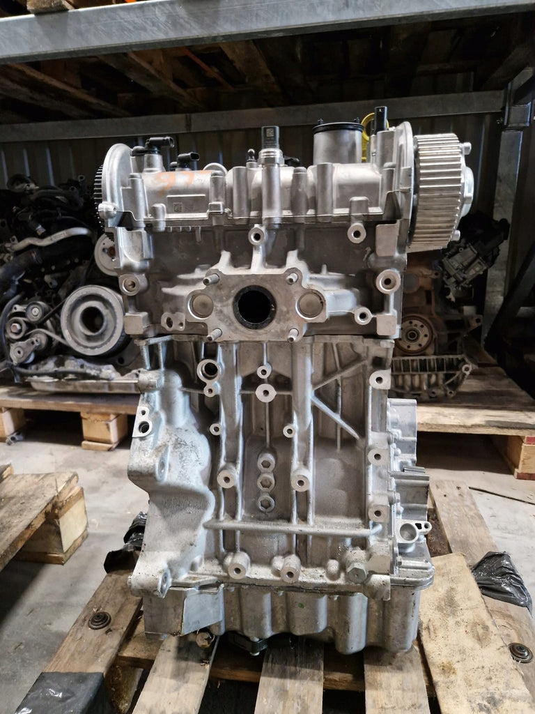 Motor Audi Seat Skoda VW A1 DUS DUSA DUSB 1.4 TFSI 19TKm 2018 Benzin Unkomplett