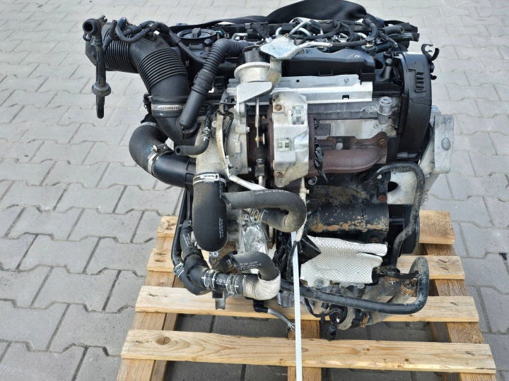 Motor Audi Seat Skoda VW I DFE 2.0 TDI 154TKm 2016 Diesel Engine Unkomplett MOT7647620191er