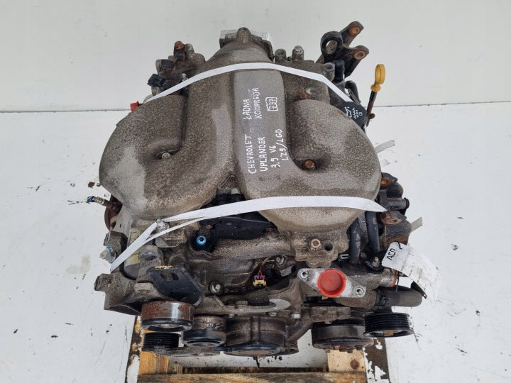 Motor Chevrolet Uplander LGD 3.9 243PS 179kW 2004 Benzin Engine Komplett MOT6344326426ue