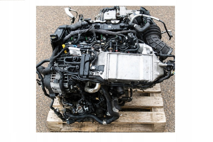 Motor Ford Mondeo I Kuga YMDA YMDB YMDC 2.0 TDCI 36TKm Diesel Engine Komplett MOT3300407591sd
