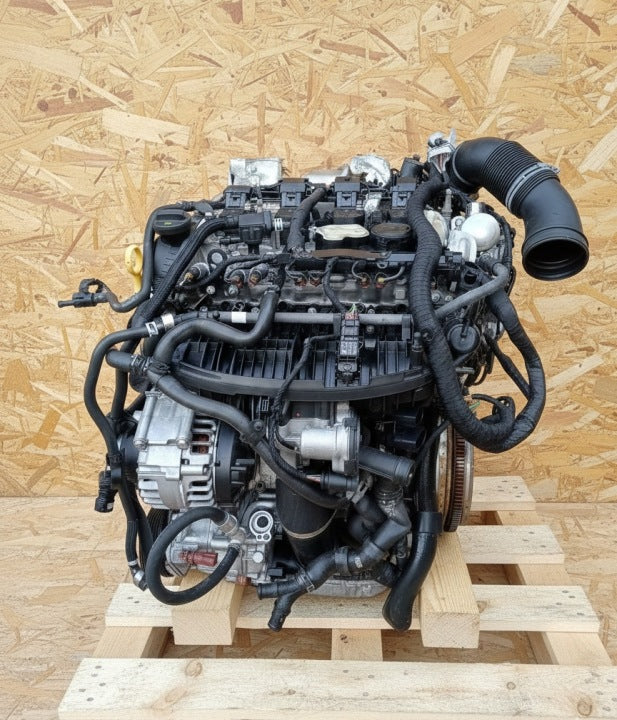 Motor Audi Seat Skoda VW Golf VIII DNN 2.0 190PS 140kW 5TKm 2020 Benzin Komplett MOT3539804462yg