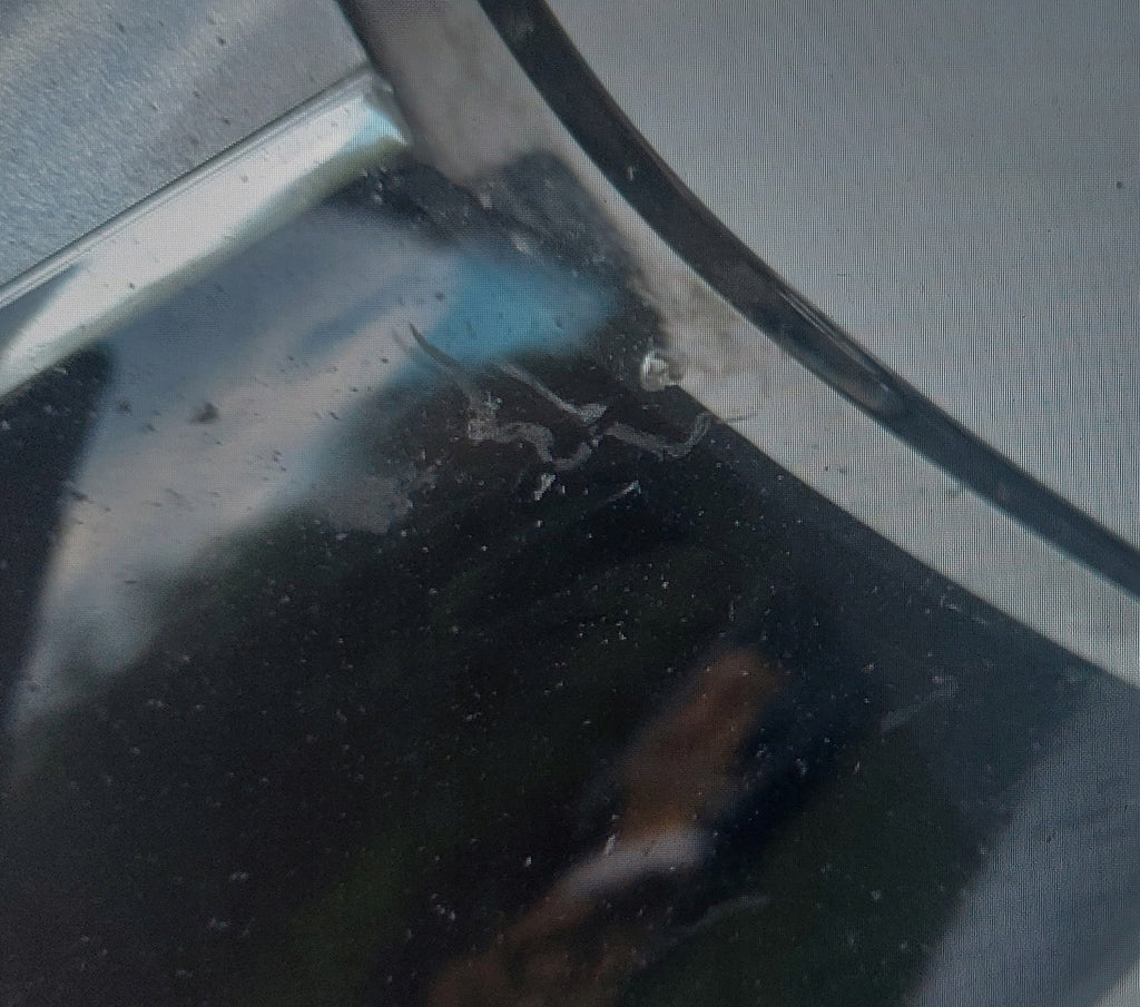 Frontscheinwerfer BMW 5 G31 G30 7439200-01 LED Rechts Scheinwerfer Headlight SCH7498531221xz