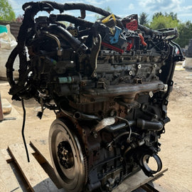 Motor Ford Fiesta II Fbd LUB 1.6 TDCI 115PS 85kW 210TKm Diesel Engine Komplett MOT1986894999vn
