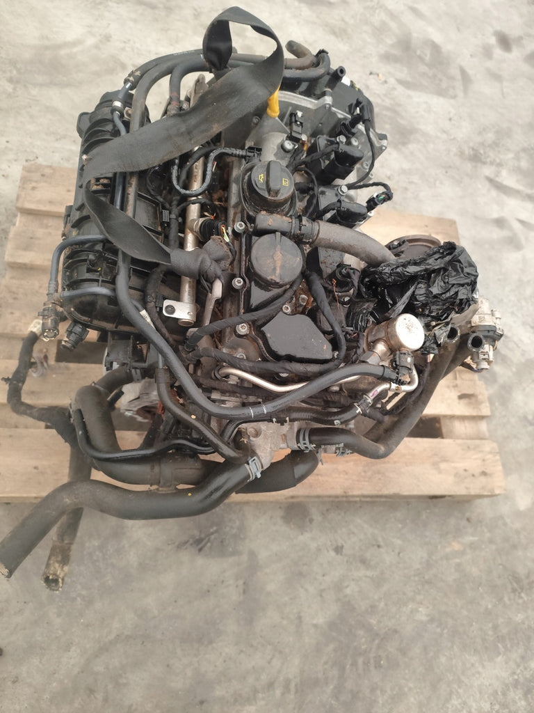 Motor VW Golf VIII DHF 1.5 TSI 96kW Benzin Engine Komplett
