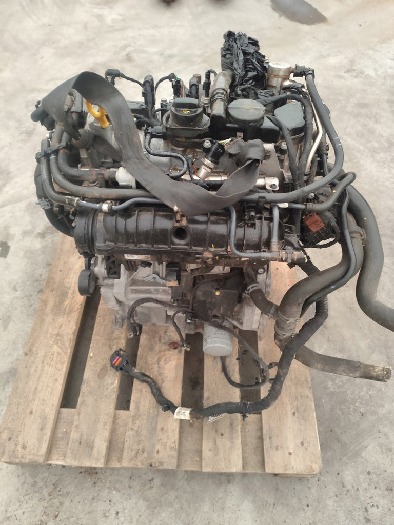 Motor VW Golf VIII DHF 1.5 TSI 96kW Benzin Engine Komplett
