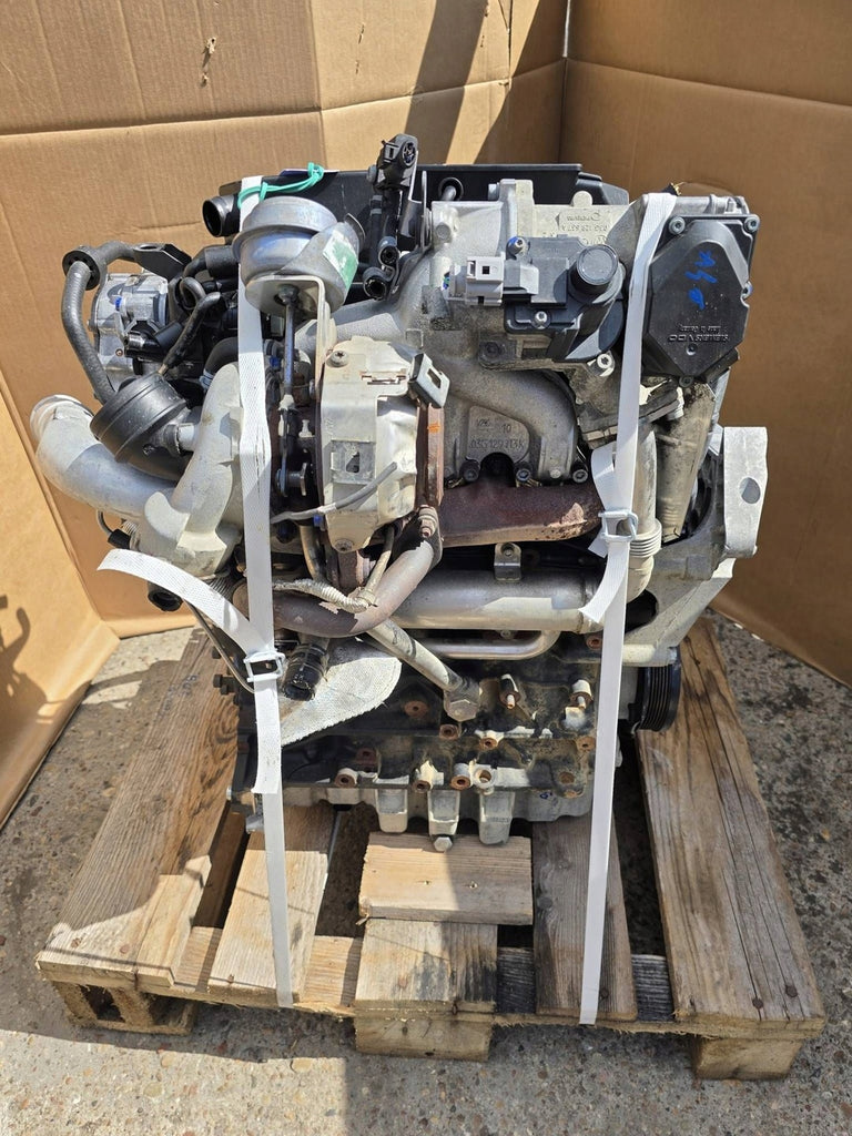 Motor Audi Seat Skoda VW BMP 2.0 TDI 140PS 103kW 135TKm 2007 Diesel Komplett