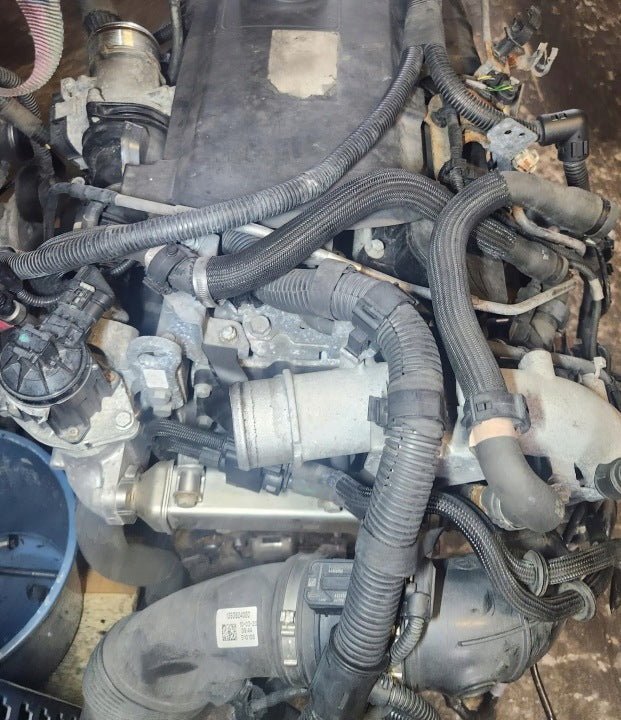 Motor Fiat Ducato F1AGL4112 2.3 JTD 160PS 118kW 2021 Diesel Engine Komplett MOT5305702949ep