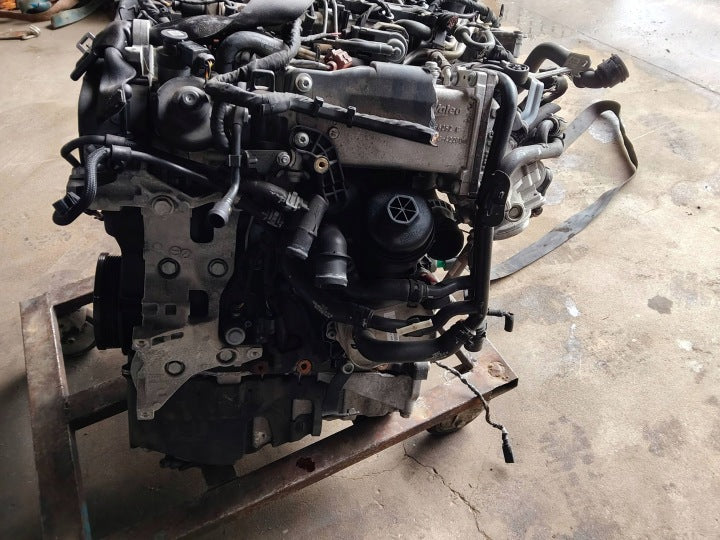 Motor Audi Q5 CNH 2.0 TDI 190PS 140kW 2014 Diesel Engine Komplett MOT3805375267gy