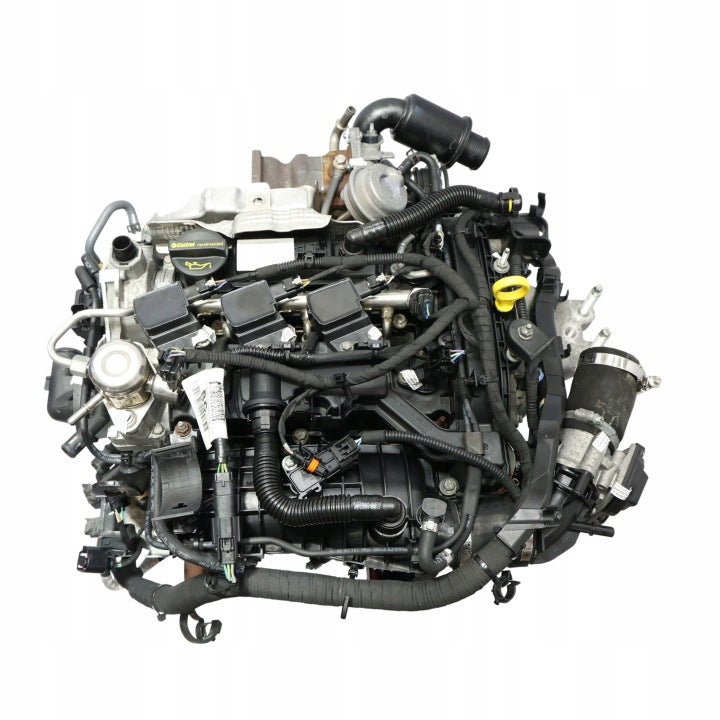Motor Ford Fiesta I SFJA SFJB 1857850 1.0 100PS 95TKm Benzin Engine Unkomplett MOT7941567849xk