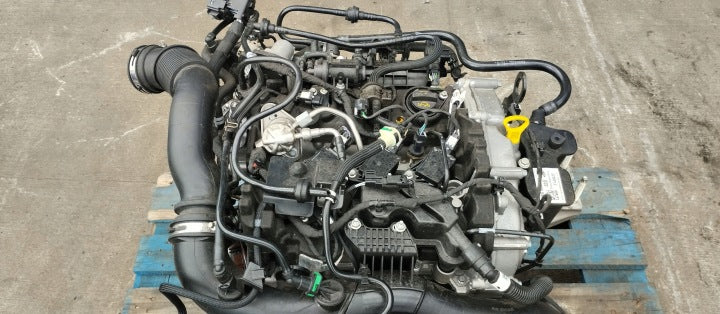Motor Ford Puma B7JB N1BG 1.0 125PS 92kW 2022 Benzin Engine Komplett MOT6075782838sx