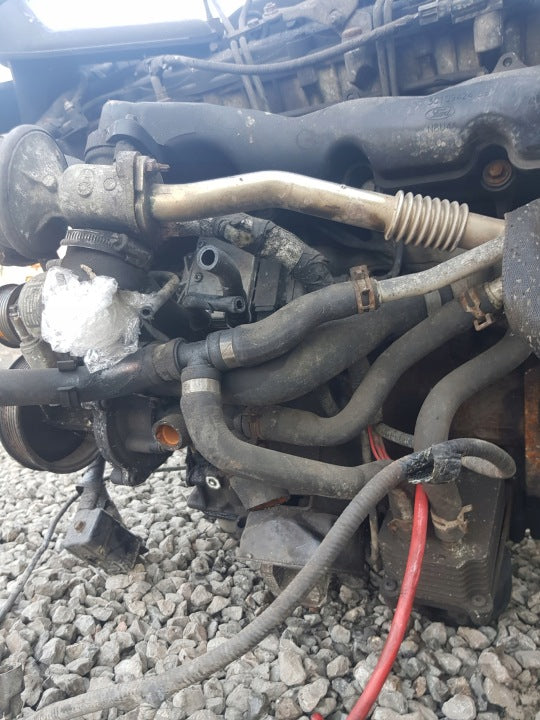 Motor Ford Fiesta II Fbd 2.4 TDDI 97PS 71kW 216TKm 2004 Diesel Engine Komplett MOT9867842139es