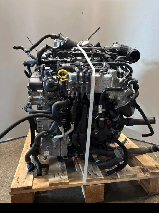 Motor Audi Seat Skoda VW 60 Octavia I CLH 1.6 TDI 105PS 96TKm Diesel Komplett MOT9008983803as