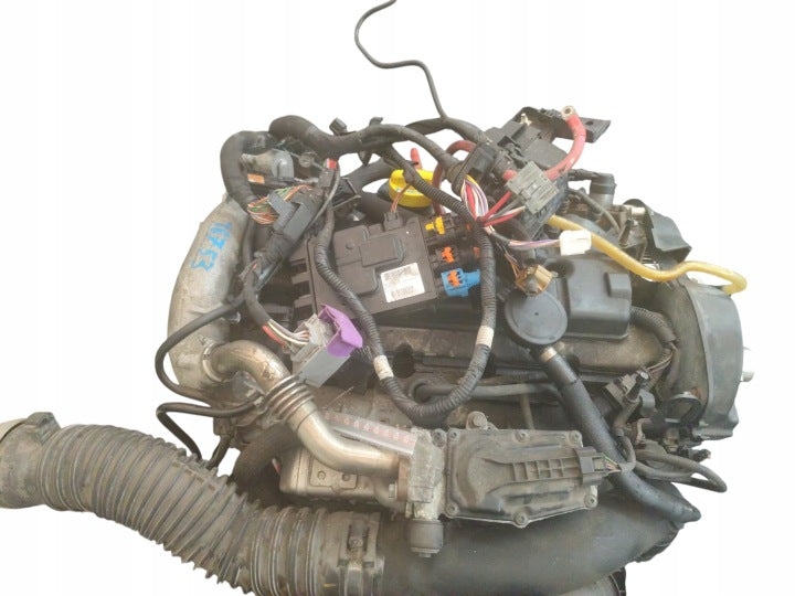 Motor Renault Scenic F9QP872 1.9 DCI 130PS 96kW 213TKm 2009 Diesel Komplett MOT8268191744xu