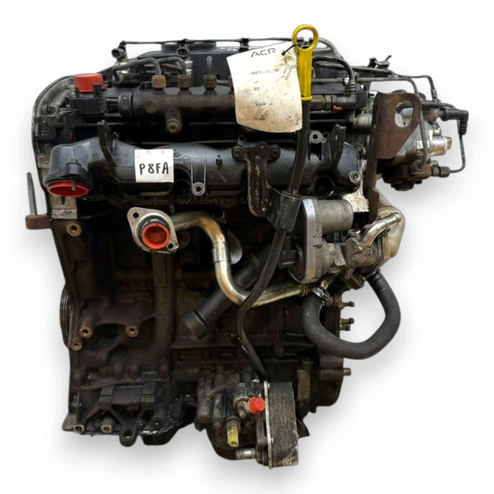 Motor Ford Transit P8FA 2.2 TDCI 85PS 63kW 180TKm 2006 Diesel Engine Komplett MOT9239764806bg