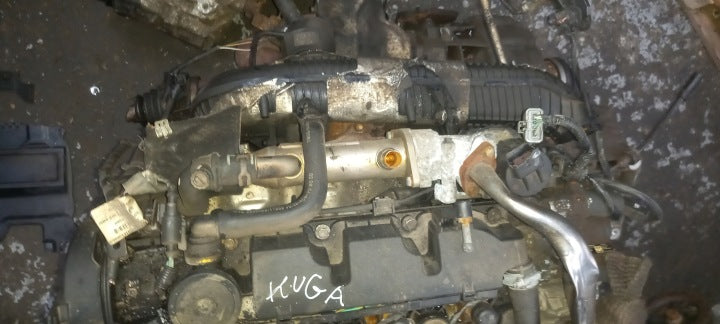 Motor Ford Kuga I G6DG 2.0 TDCI 136PS 100kW Diesel Engine Komplett MOT5480533915ba